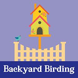 Backyard Birding