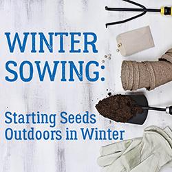 Winter Sowing: Starting Seeds Outdoors in Winter