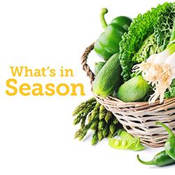 What’s in Season: Celery Root