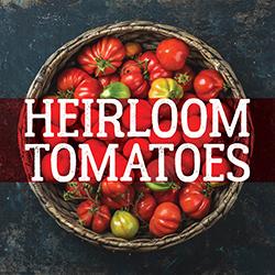 Heirloom Tomatoes