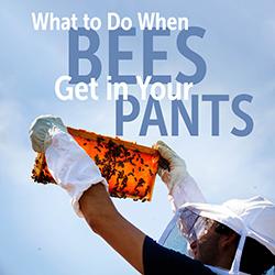 A beekeeper holding up a section of honeycomb against a blue sky