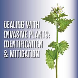 garlic mustard plant with white text