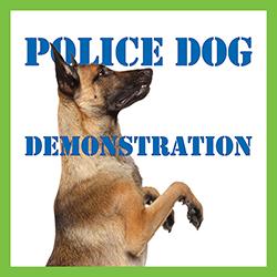 Head and shoulders image of a police dog over a white background with the words police dog demonstration