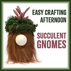 Easy Crafting Afternoon: Succulent Gnomes