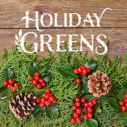 Fresh cut holiday greens and cranberries on a wooden tabletop