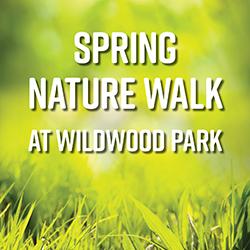 Spring Nature Walk