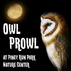 Owl Prowl at Piney Run Park Nature Center