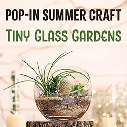 Pop-In Summer Craft: Tiny Glass Gardens