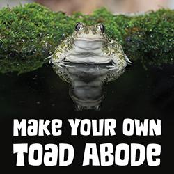 Make Your Own Toad Abode