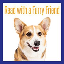 Read with a Furry Friend: Adaptive Program for Adults