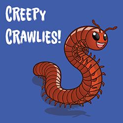 Creepy Crawlies!