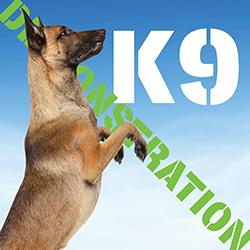 A Belgian Malinois police dog jumping up in front of the words K9 Demonstration