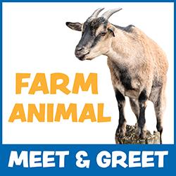 Farm Animal Meet & Greet