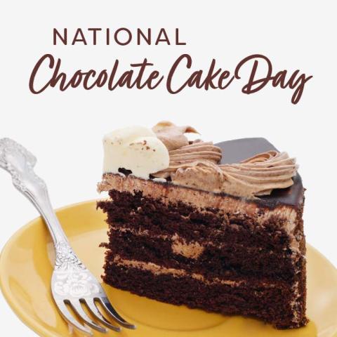 National Chocolate Cake Day