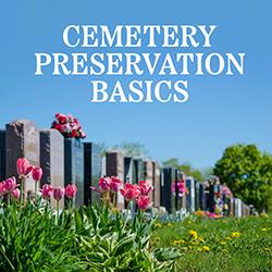 A row of well-tended headstones with pink flowers receding into the distance with a blue sky