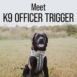 K9 Officer Trigger