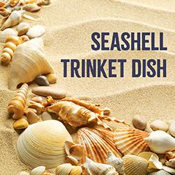 a variety of seashells on sand