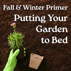 Fall & Winter Primer: Putting Your Garden to Bed