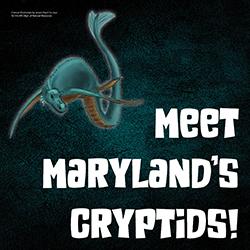 an illustration of Chessie