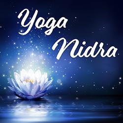 a lotus flower on a sparkling background