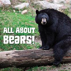 a black bear sitting on a log