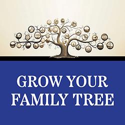 A stylized family tree with portraits of family members in the branches.