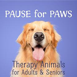 Head-on portrait image of a happy contented golden retriever with eyes closed in front of a light purple background.