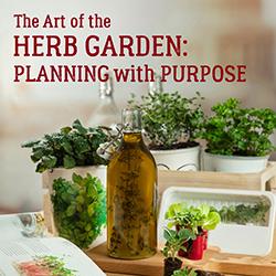 An assortment of potted and preserved herbs arranged on a kitchen countertop with an open notebook.