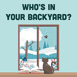 an illustration of a cat looking out a window at a winter landscape