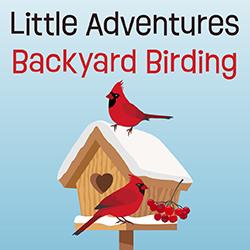 a birdhouse covered with snow and cardinals and berries on it