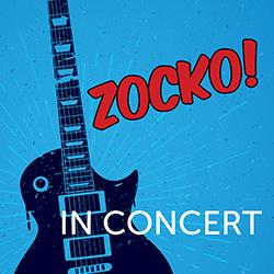 Silhouette illustration of a black guitar on a textured blue background with radiating lines.