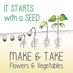 Illustration showing the stages of plant growth from seed to small plant.
