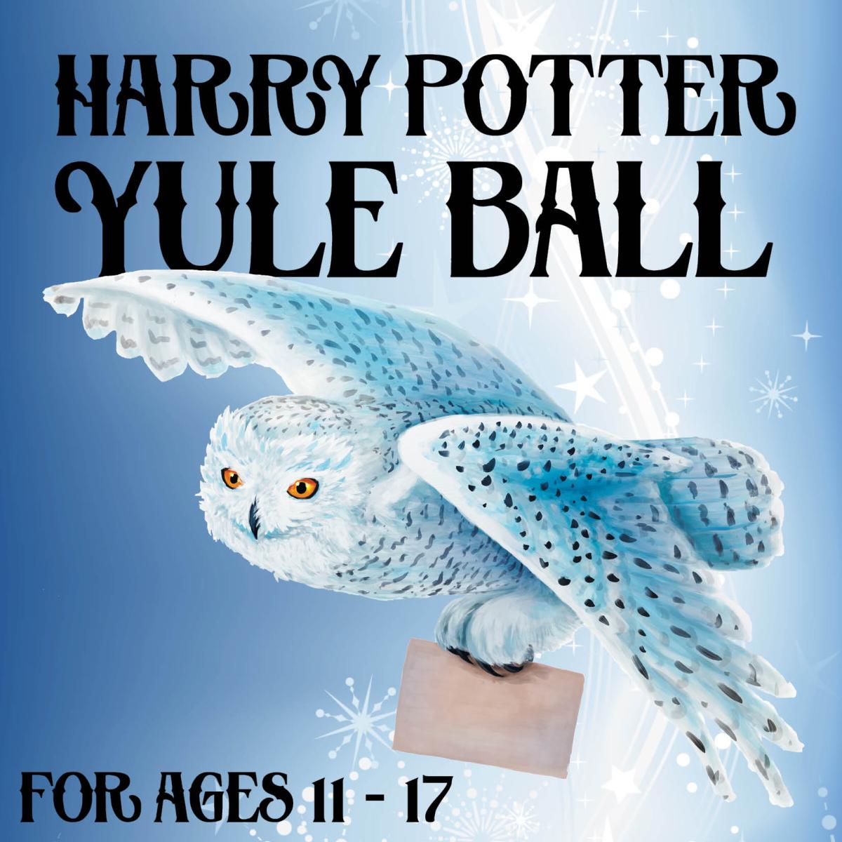 Harry Potter Yule Ball