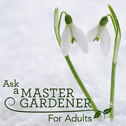 ask a master gardener