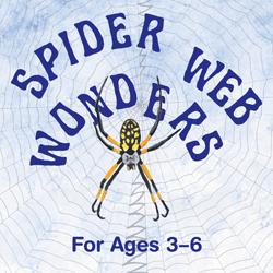 Spider Web Wonders