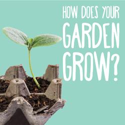 How Does Your Garden Grow?