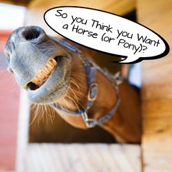 So you Think you Want a Horse (or Pony)?