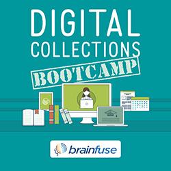 Digital Collections Bootcamp: Brainfuse VetNow