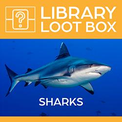 Library Loot Box: Sharks