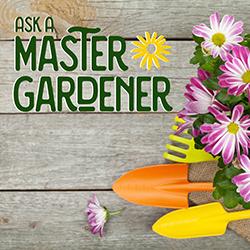 Ask a Master Gardener