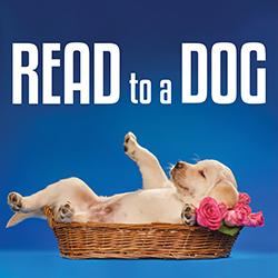 Read to a Dog