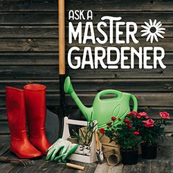 Ask a Master Gardener