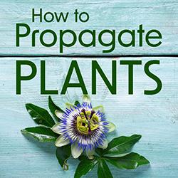 How to Propagate Plants