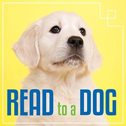 Read to a Dog