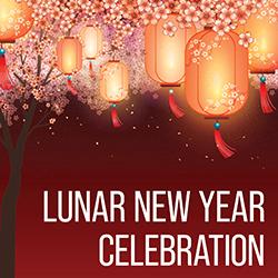 Lunar New Year Celebration