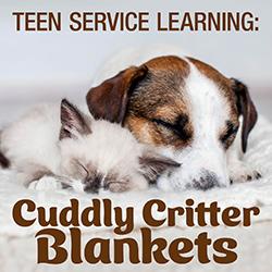 A Himalayan kitten and Jack Russell Terrier puppy sleeping together on a fuzzy blanket