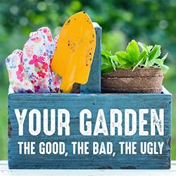 gardening gloves, trowel, and a potted plant in a weathered blue box