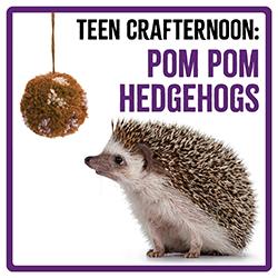 a brown yarn pom pom and hedgehog on a white background