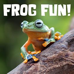 black-webbed tree frog on a tree