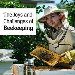 a beekeeper holding a honeycomb